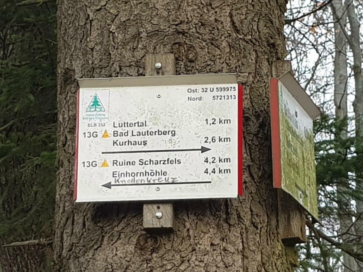 Ferienwohnung "Hagebutze" Mit Sauna Und Schwimmbad Бад Лаутерберг Екстериор снимка